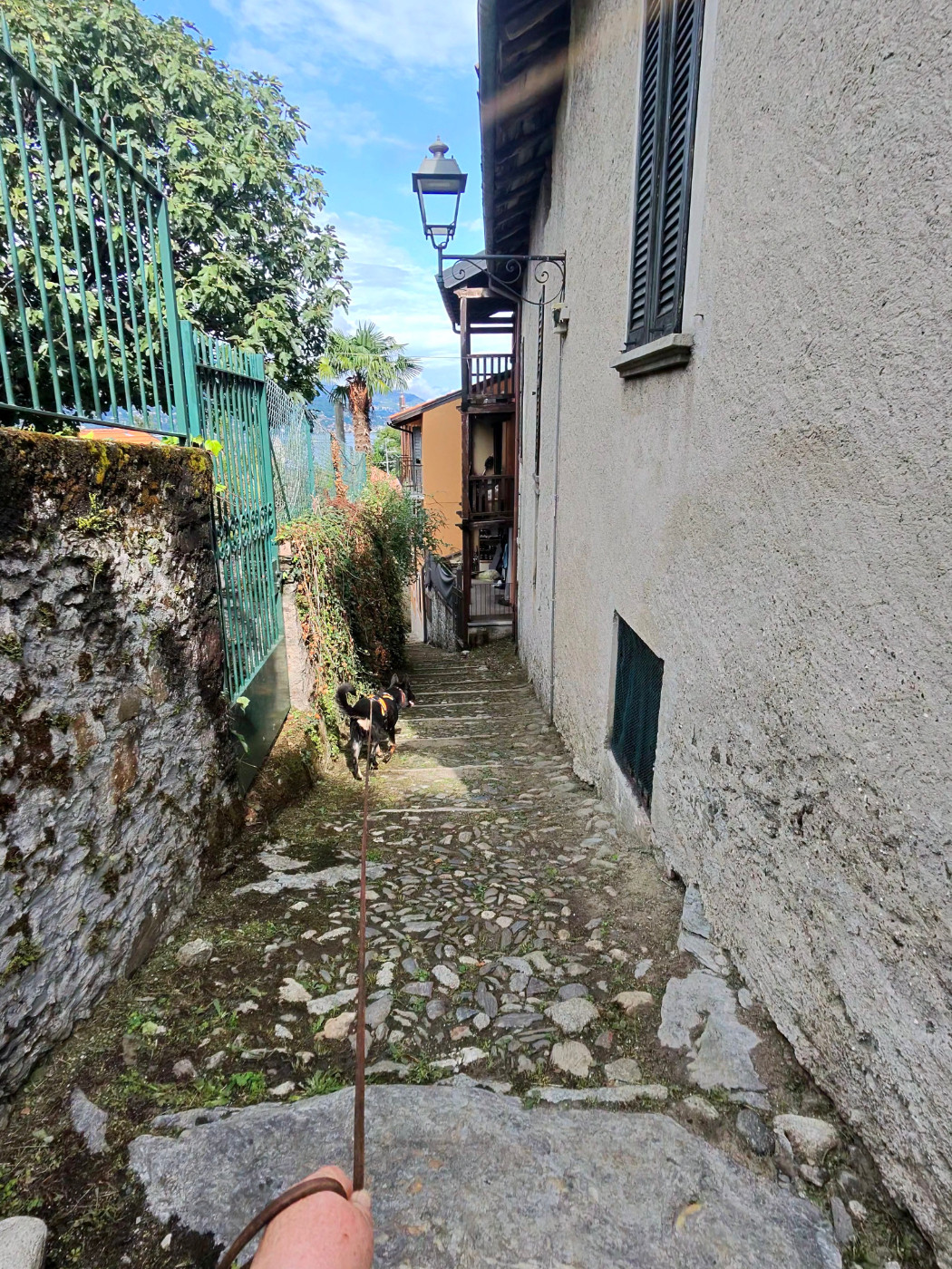 MTX validé en Italie